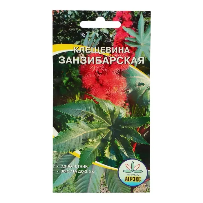 Семена Цветов Клещевина Занзибарская , 2 шт Семена Цветов Клещевина Занзибарская , 2 шт