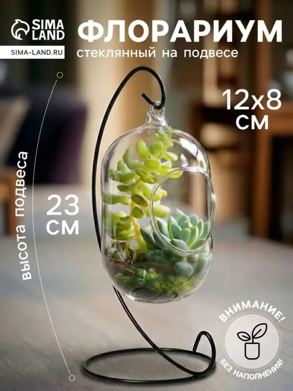 Флорариум &laquo;Цилиндр&raquo;, на подвесе, 12&times;8 см, h=23 см, стекло, прозрачный, чёрный