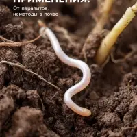 Средство от болезней растений &laquo;Флагрин-Д&raquo; (Нематодин), 10 г