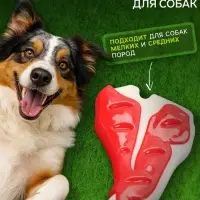 Игрушка для собак Пижон Premium &laquo;Стейк&raquo;, 10.5 см, TPR + нейлон, цвет МИКС