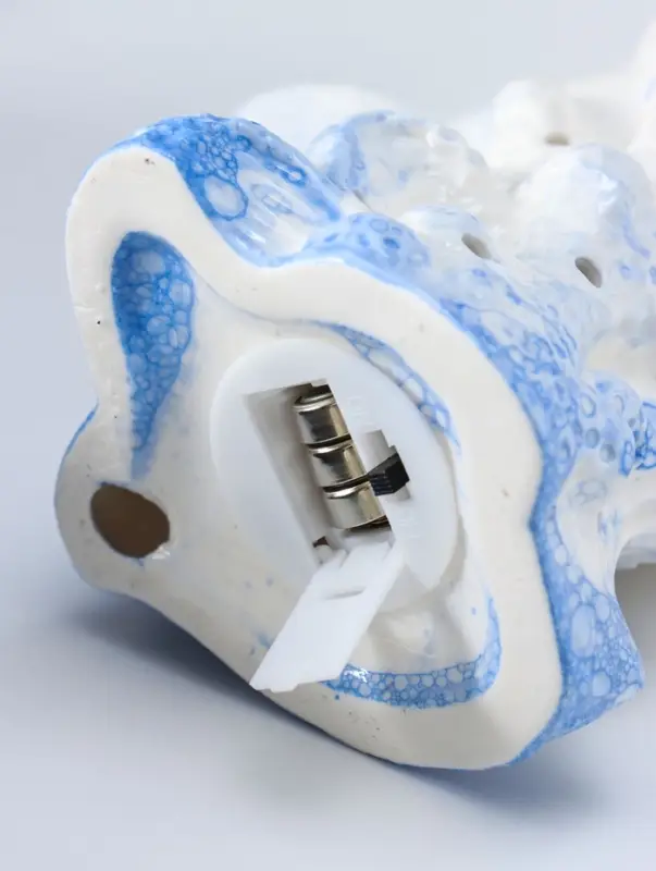 Сувенир керамика свет "Черепаха в кораллах" бело-синий 8х11,5х14 см