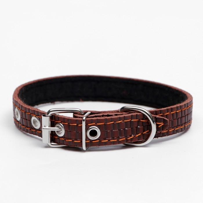 Ошейник кожаный с тиснением на синтепоне, 46 х 2 см, ОШ 25-35 см, коричневый Ошейник кожаный с тиснением на синтепоне, 46 х 2 см, ОШ 25-35 см, коричневый