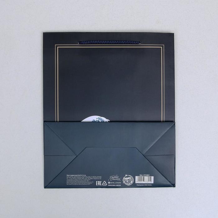 Пакет подарочный ламинированный вертикальный, упаковка, «Present», ML 23 х 27 х 11,5 см Пакет подарочный ламинированный вертикальный, упаковка, «Present», ML 23 х 27 х 11,5 см