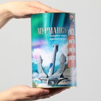 Копилка XXL «Мурманск», 20 х 12,5 см