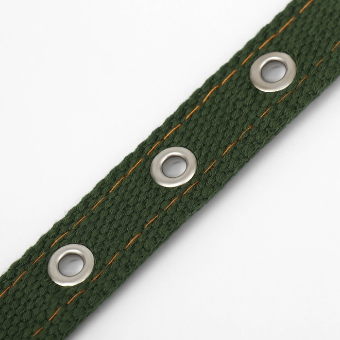 Ошейник брезентовый двухслойный, 52 х 2 см, хаки Ошейник брезентовый двухслойный, 52 х 2 см, хаки