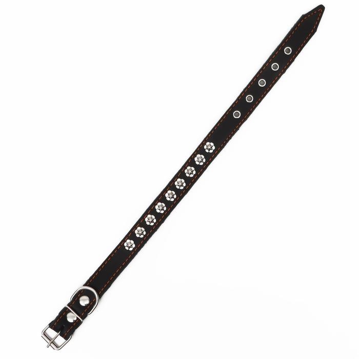 Ошейник кожаный на синтепоне, украшенный, 55 х 2.5 см, ОШ 35-45 см, черный Ошейник кожаный на синтепоне, украшенный, 55 х 2.5 см, ОШ 35-45 см, черный