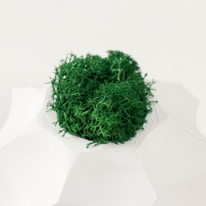 Кашпо бетонное Кашпо бетонное "Грани" со мхом белый 7,5х7,5х5 см (мох зеленый стабилизированный)