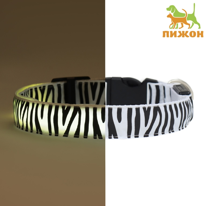 Ошейник с подсветкой Зебра 3 режима свечения размер XL, ОШ 60-70 х 2,5 см белый Ошейник с подсветкой Зебра 3 режима свечения размер XL, ОШ 60-70 х 2,5 см белый