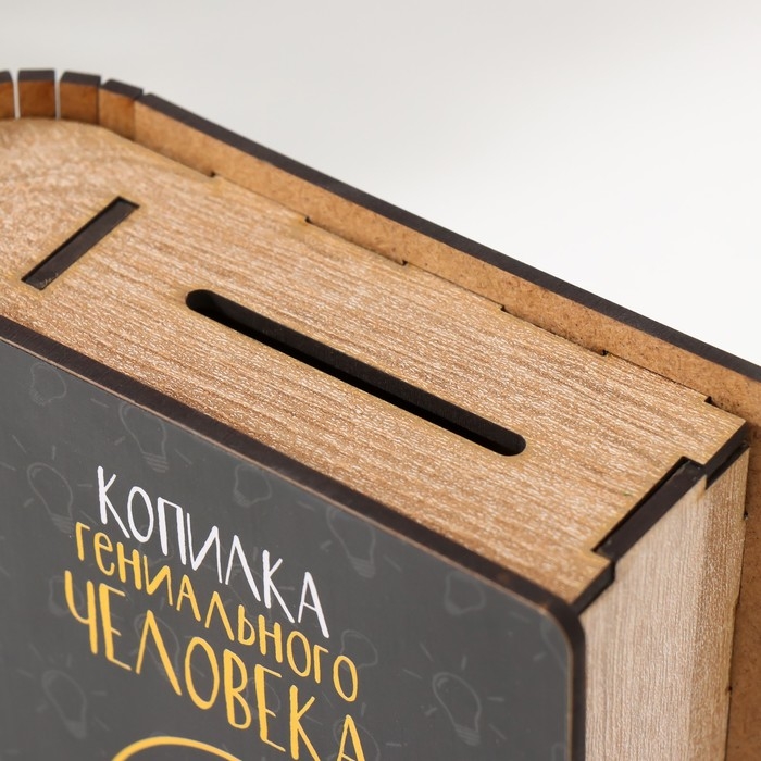 Копилка Копилка "Гениальный человек" 17,5х12х5 см МИКС