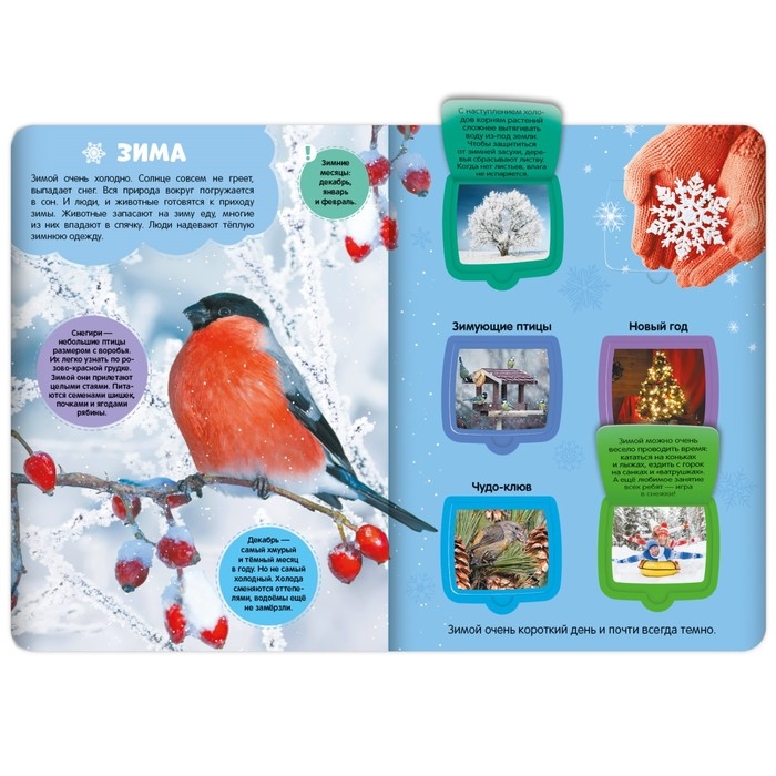 Книжка с окошками «Времена года» Книжка с окошками «Времена года»
