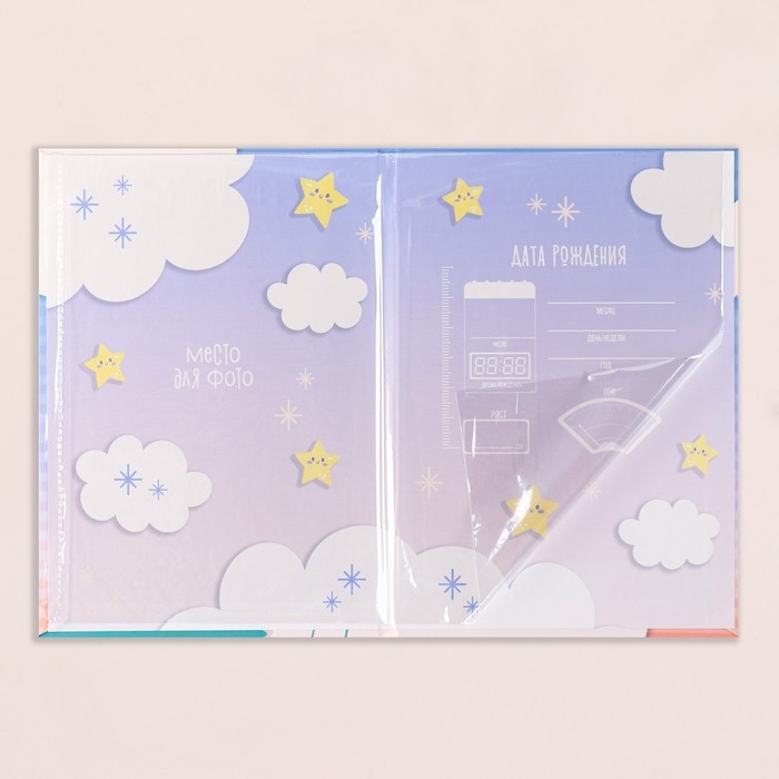 Свидетельство о рождении Свидетельство о рождении "Кролик" тиснение, облака А5