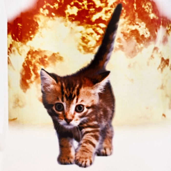 Кружка керамическая с сублимацией Дорого внимание «Не надо орать», 320 мл Кружка керамическая с сублимацией Дорого внимание «Не надо орать», 320 мл