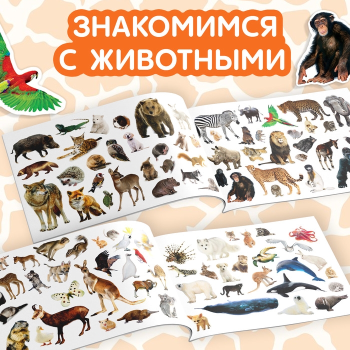 100 наклеек «Животные со всего света», 12 стр. 100 наклеек «Животные со всего света», 12 стр.