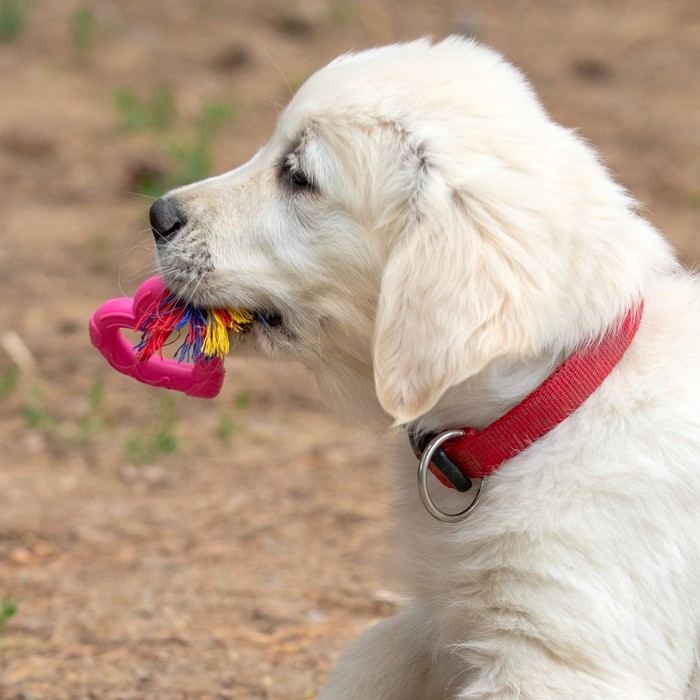 Игрушка Игрушка "Сердечко с канатом", 7 см, розовое