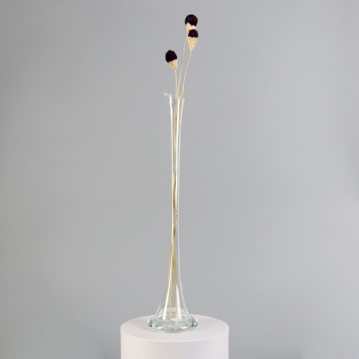 Ваза  Ваза "Фристайл" с-2 d-2.5см, 40х9,5 см, 0,2л  2454