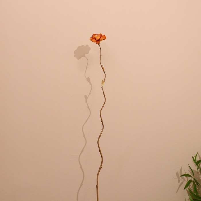 Сухоцвет на бамбуковом стебле 150 см оранжевый Сухоцвет на бамбуковом стебле 150 см оранжевый