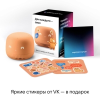 Умная колонка VK Нео (VKSP11OR), голосовой помощник Маруся, 5Вт, Wi-Fi, BT 5.0, оранжевая