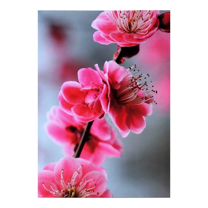 Картина на холсте Картина на холсте "Сакура" 50*70 см