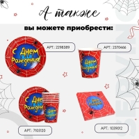 Салфетки бумажные двухслойные «С днём рождения», паутина, 33х33, 20 шт.