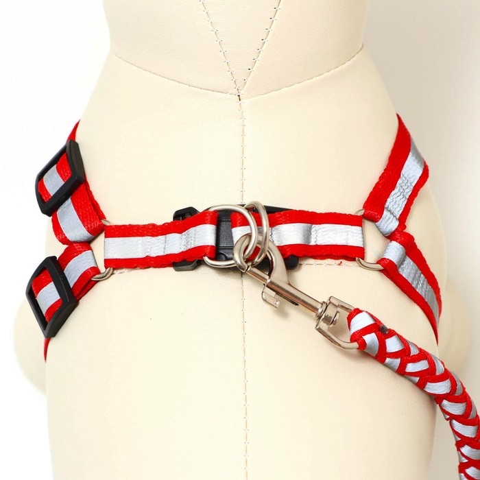 Комплект  Комплект "Плетенка", флуоресцентный, поводок 115 х 1 см, ОГ 32-48 х 1,5 см, красный