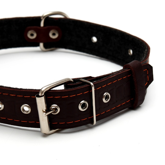 Ошейник кожаный тисненый на фетре, безразмерный, 64 х 3,5 см, ОШ 31-60 см, коричневый Ошейник кожаный тисненый на фетре, безразмерный, 64 х 3,5 см, ОШ 31-60 см, коричневый