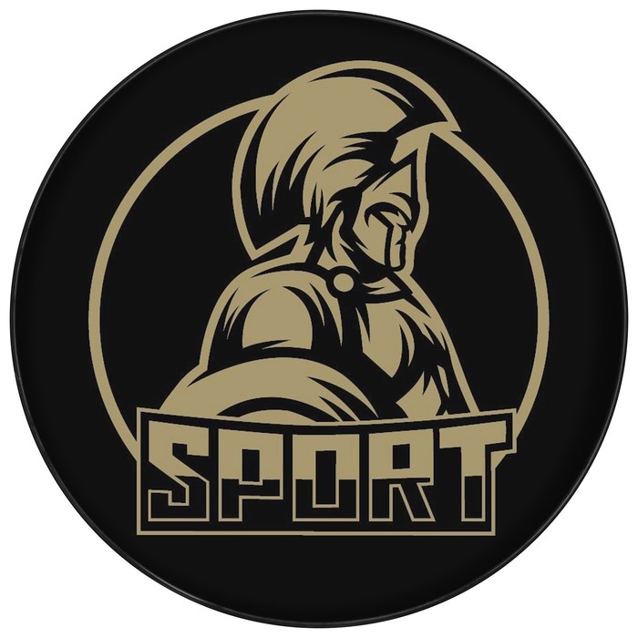 Шайба хоккейная Winter Star, взрослая, d=7,6 см Шайба хоккейная Winter Star, взрослая, d=7,6 см