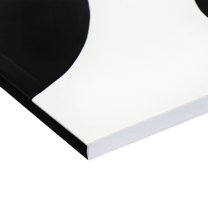 Альбом для рисования А4, 48 листов на склейке Альбом для рисования А4, 48 листов на склейке "Гусь", обложка мелованный картон, выборочный УФ-лак, блок офсет 120г/м2