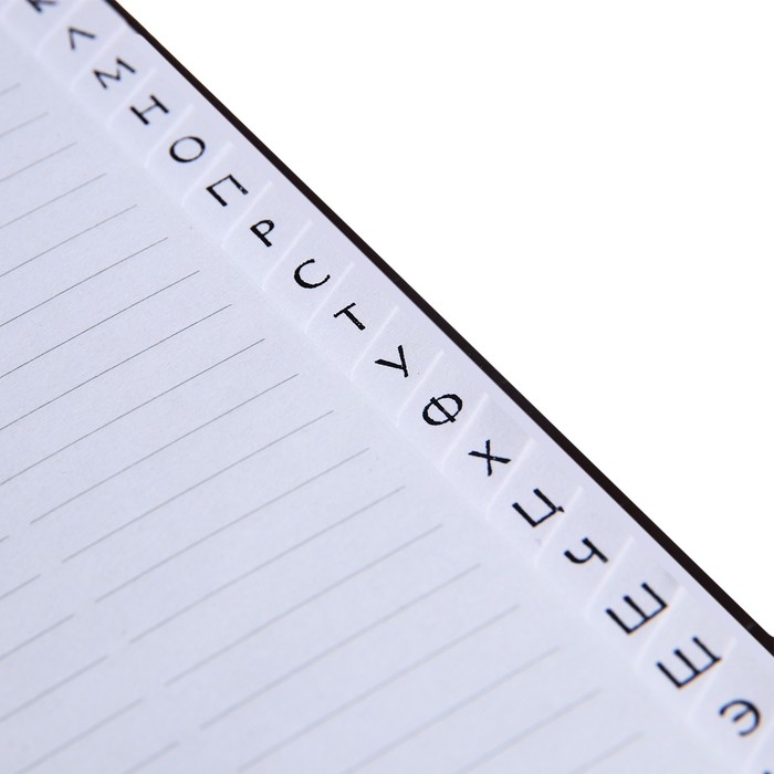 Телефонная книга А5, 64 листа deVENTE.Wild, твердая обложка из искусственной кожи, кремовый блок 70 г/м2, темно коричневый Телефонная книга А5, 64 листа deVENTE.Wild, твердая обложка из искусственной кожи, кремовый блок 70 г/м2, темно коричневый