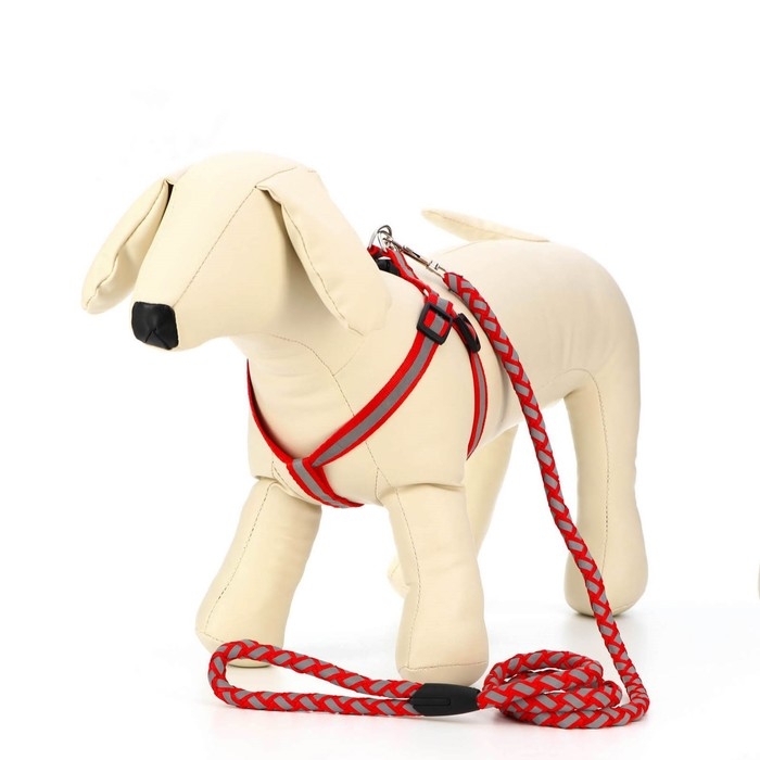 Комплект  Комплект "Плетенка", флуоресцентный, поводок 115 х 1 см, ОГ 32-48 х 1,5 см, красный