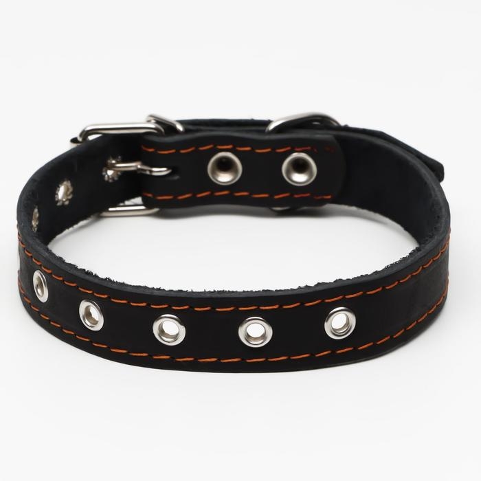 Ошейник кожаный однослойный, безразмерный, 56 х 2.5 см, ОШ 17-44 см, чёрный Ошейник кожаный однослойный, безразмерный, 56 х 2.5 см, ОШ 17-44 см, чёрный