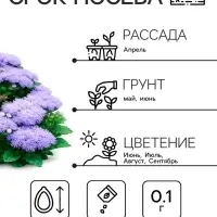 Семена цветов Агератум, голубой, 0.1 г, &laquo;Рецепты дедушки Никиты&raquo;