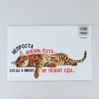 Коврик под миску &laquo;Не проста жизнь кота&raquo;, 43&times;28 см