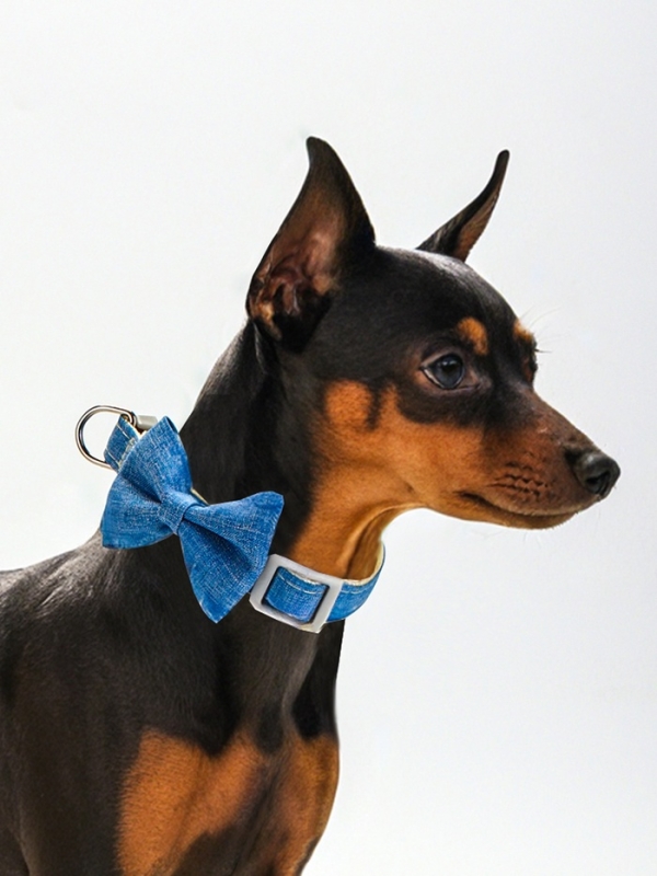 Ошейник Ошейник "Джентельмен жакардовый", 40 х 1,5 см, синий