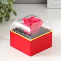 Шкатулка пластик "Роза в футляре" красная 6,8х6,8х7,5 см