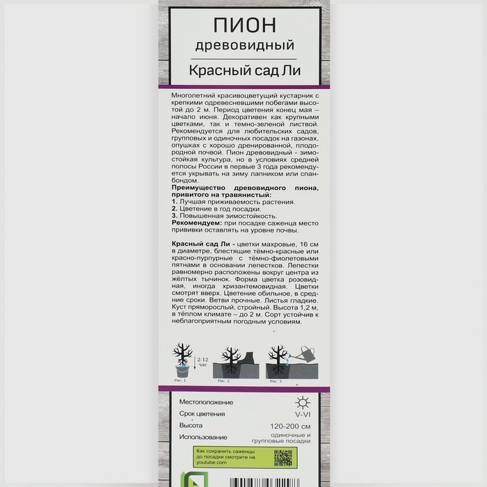 Пион древовидный (привитый на травянистый) «Красный сад Ли» 3 шт., саженец, цветущий, туба Пион древовидный (привитый на травянистый) «Красный сад Ли» 3 шт., саженец, цветущий, туба