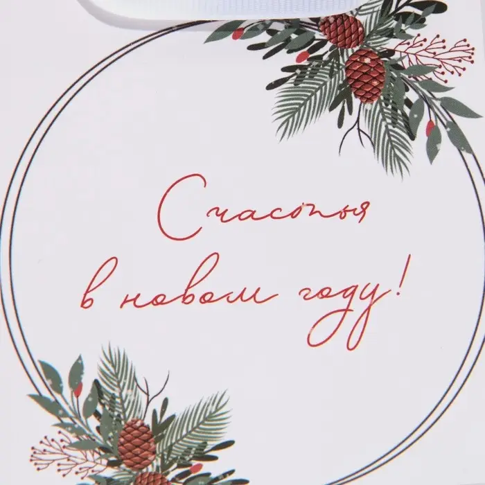 Пакет подарочный новогодний ламинированный квадратный «Зима», 14 х 14 х 9 см Пакет подарочный новогодний ламинированный квадратный «Зима», 14 х 14 х 9 см