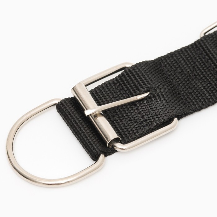 Ошейник Ошейник "Комфорт" комбинированный, 70 х 4 см, ОШ 51-61 см, чёрный