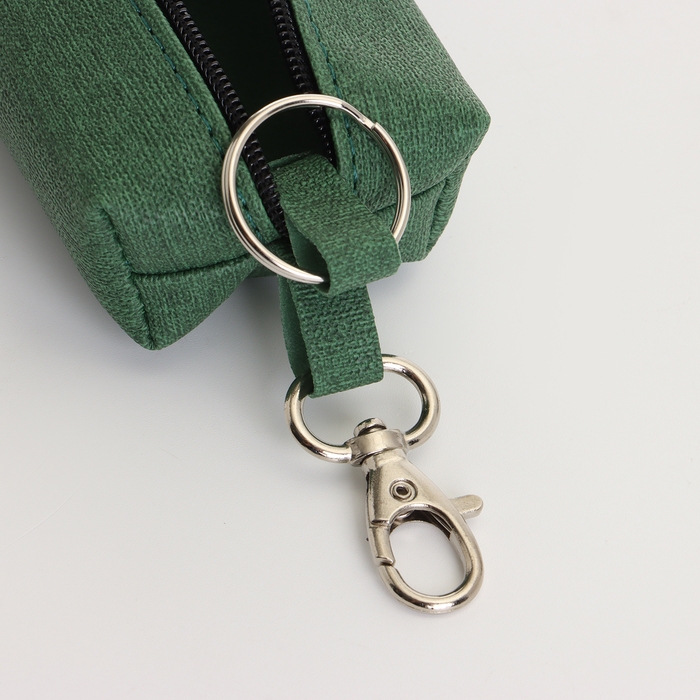 Ключница на молнии, длина 16 см, кольцо, карабин, цвет зелёный Ключница на молнии, длина 16 см, кольцо, карабин, цвет зелёный