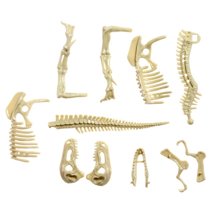 Набор для опытов «Время динозавров», тиранозавр, в пакете Набор для опытов «Время динозавров», тиранозавр, в пакете