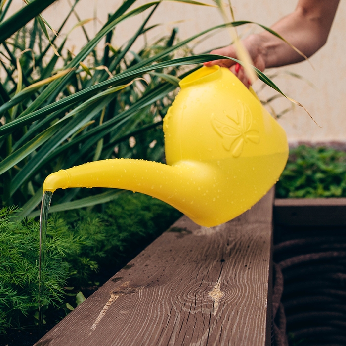 Лейка, 3 л, без рассеивателя, цвет МИКС Лейка, 3 л, без рассеивателя, цвет МИКС