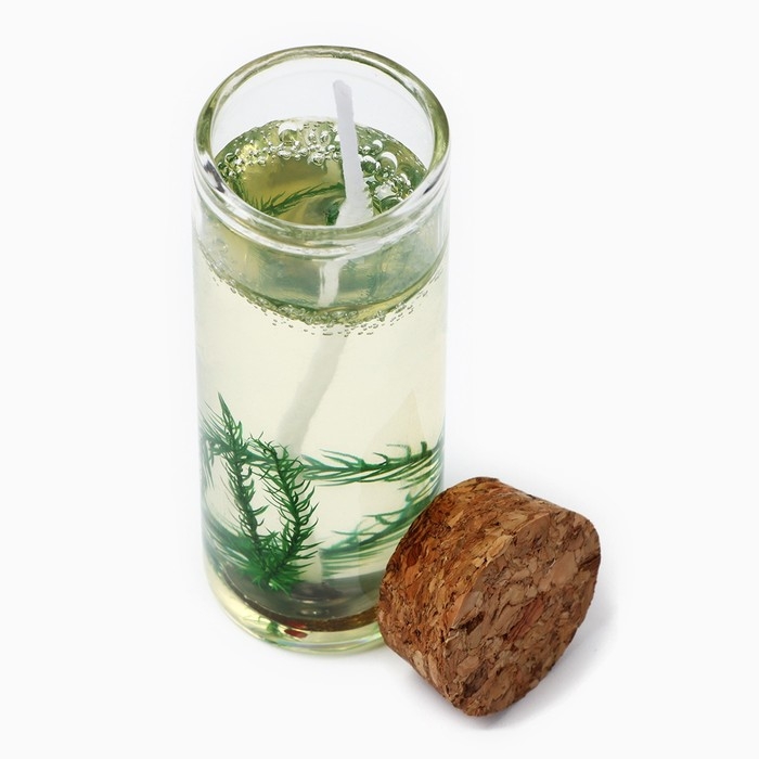 Новогодняя свеча интерьерная в колбе «Новый год: Еловая ветка» 3х3х8см Новогодняя свеча интерьерная в колбе «Новый год: Еловая ветка» 3х3х8см