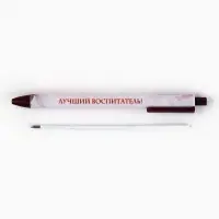 Ручка шариковая, синяя паста, автоматическая матовая 0.7 мм «Лучший воспитатель!»