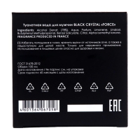 Парфюмерная вода мужская Black Crystal "Force", 100 мл