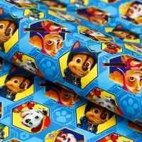 Бумага упаковочная, 70&times;100 см &laquo;Гонщик и Маршал&raquo;, Щенячий патруль
