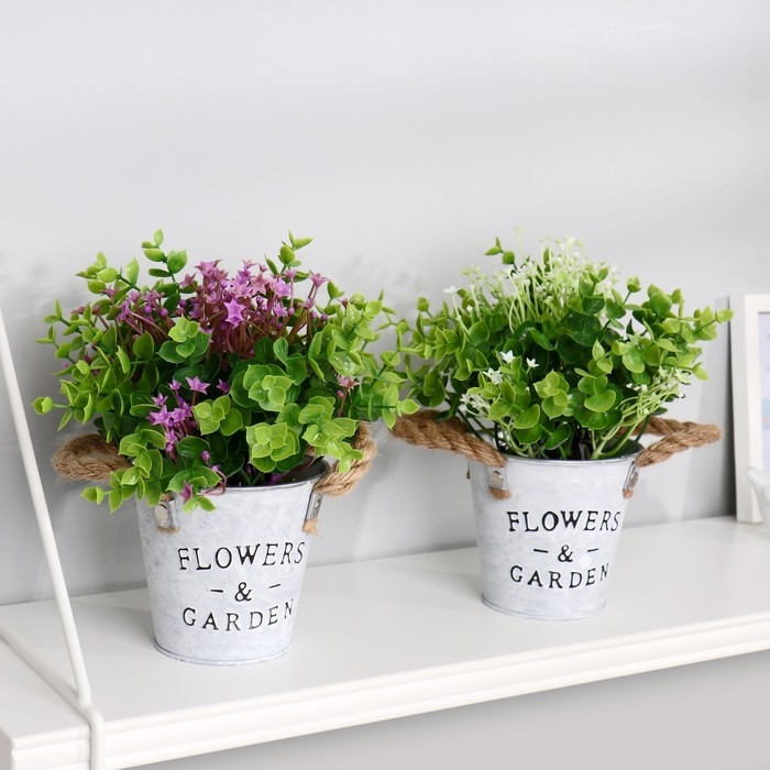 Бонсай в горшке Бонсай в горшке "Гипсофила ползучая" 11х22 см, микс