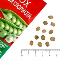 Семена Горох &laquo;Глориоза&raquo;, сахарный, 40 г, &laquo;Агроуспех&raquo;