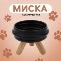 Миска &laquo;Шаг вперед&raquo;, 400 мл, 15&times;11.2&times;5 см, подставка 6.2 см, керамика, чёрная