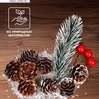Новогодний декор &laquo;Морозные шишки&raquo;, набор