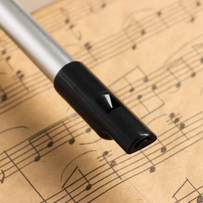 Флейта Music Life bB, серебристая, 37,5 см Флейта Music Life bB, серебристая, 37,5 см