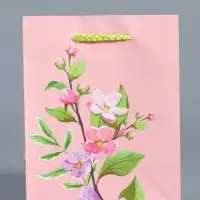 Пакет подарочный "Нежный комплимент" ламинированый 11,5 х 14,5 х 6,5 см